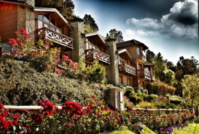 Гостиница Bungalows Buena Vista  Сан-Карлос-Де-Барилоче